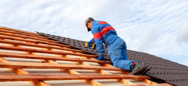 Best Roof Moss and Algae Removal  in Marsing, ID